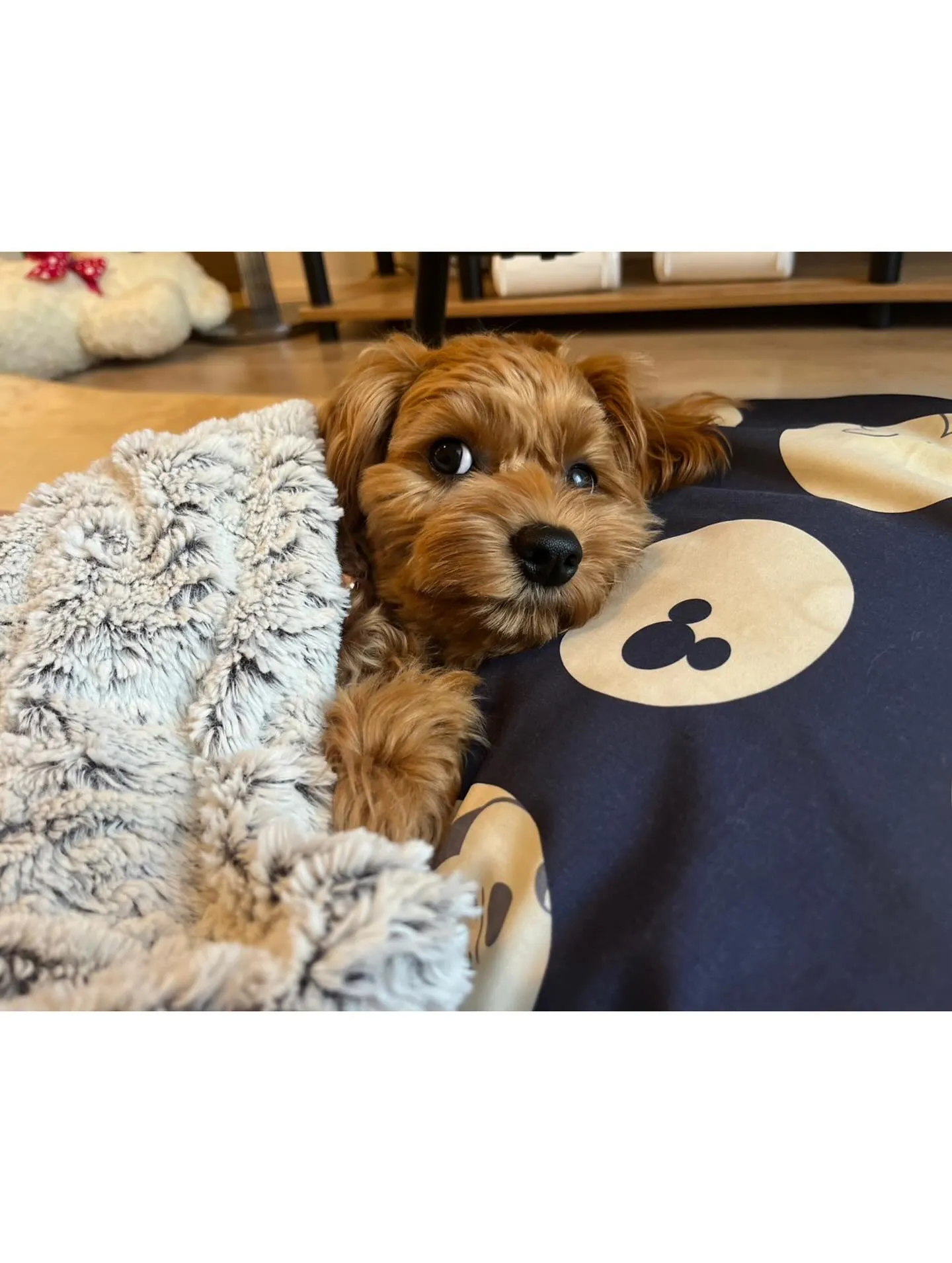 【スタッフ紹介】