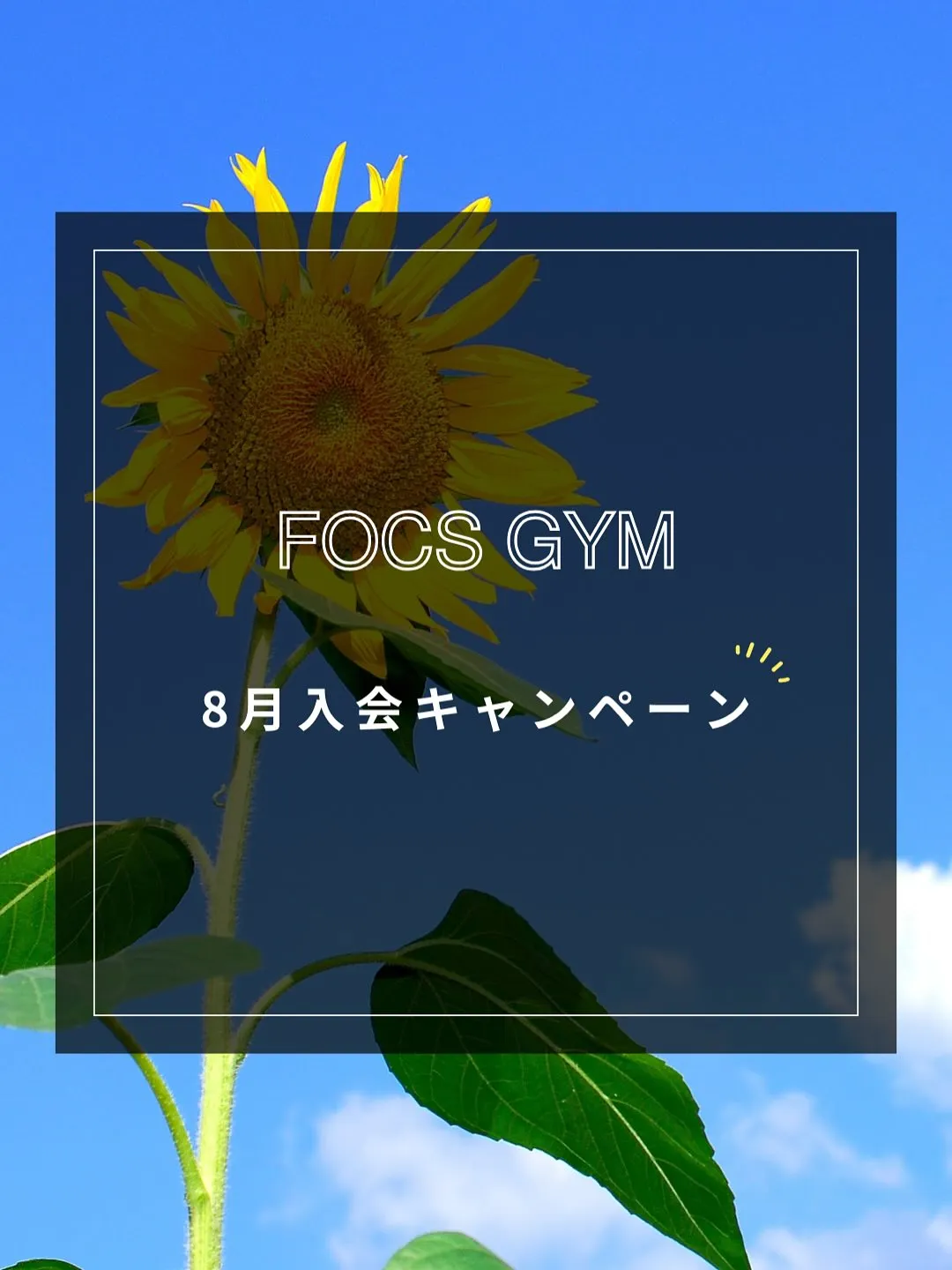 【8月入会キャンペーン】