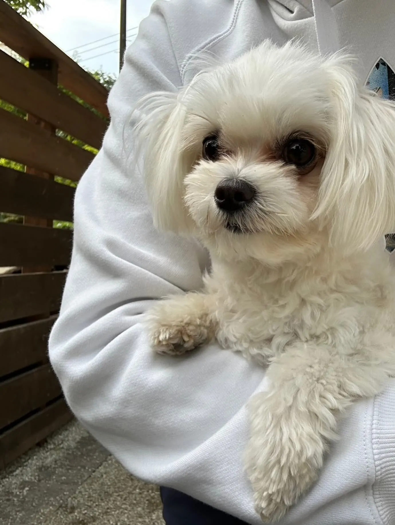 【スタッフ紹介】