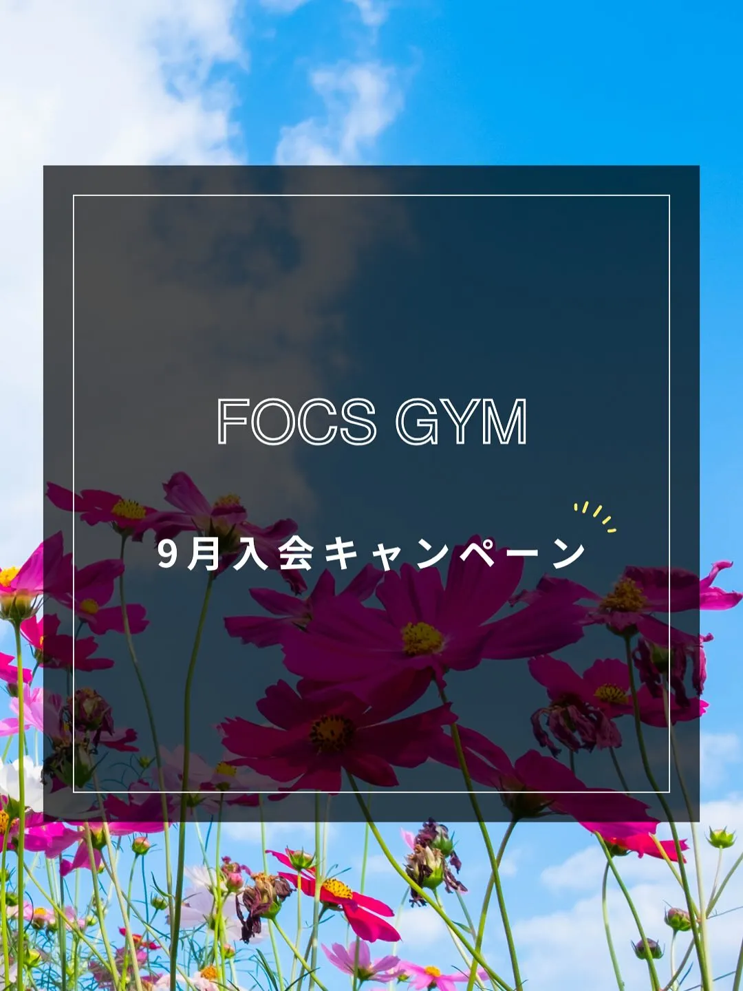 【9月入会キャンペーン】