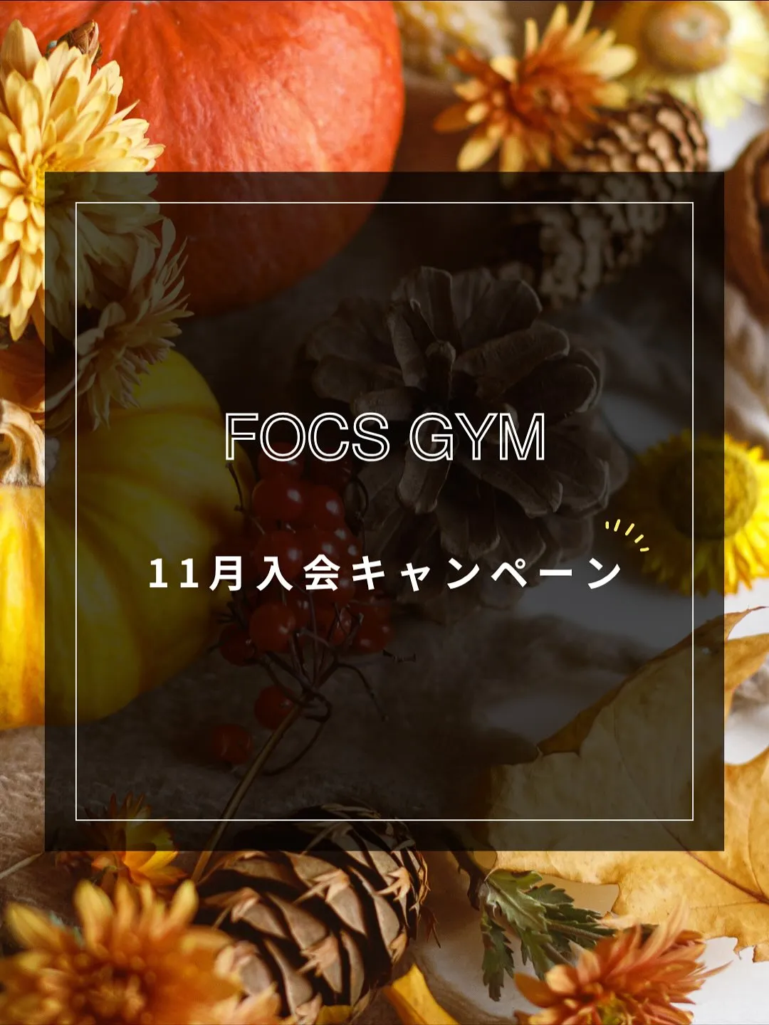 【11月入会キャンペーン】