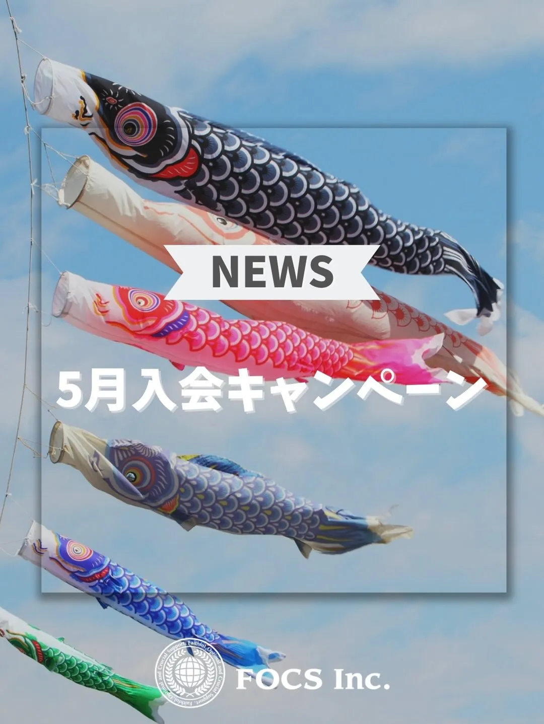 【5月入会キャンペーン】