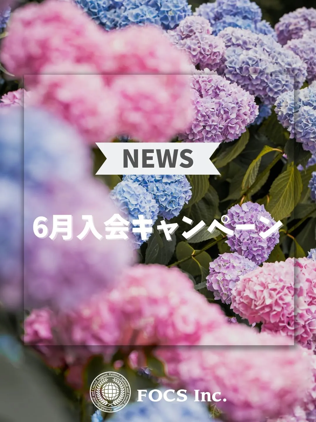 【6月入会キャンペーン】